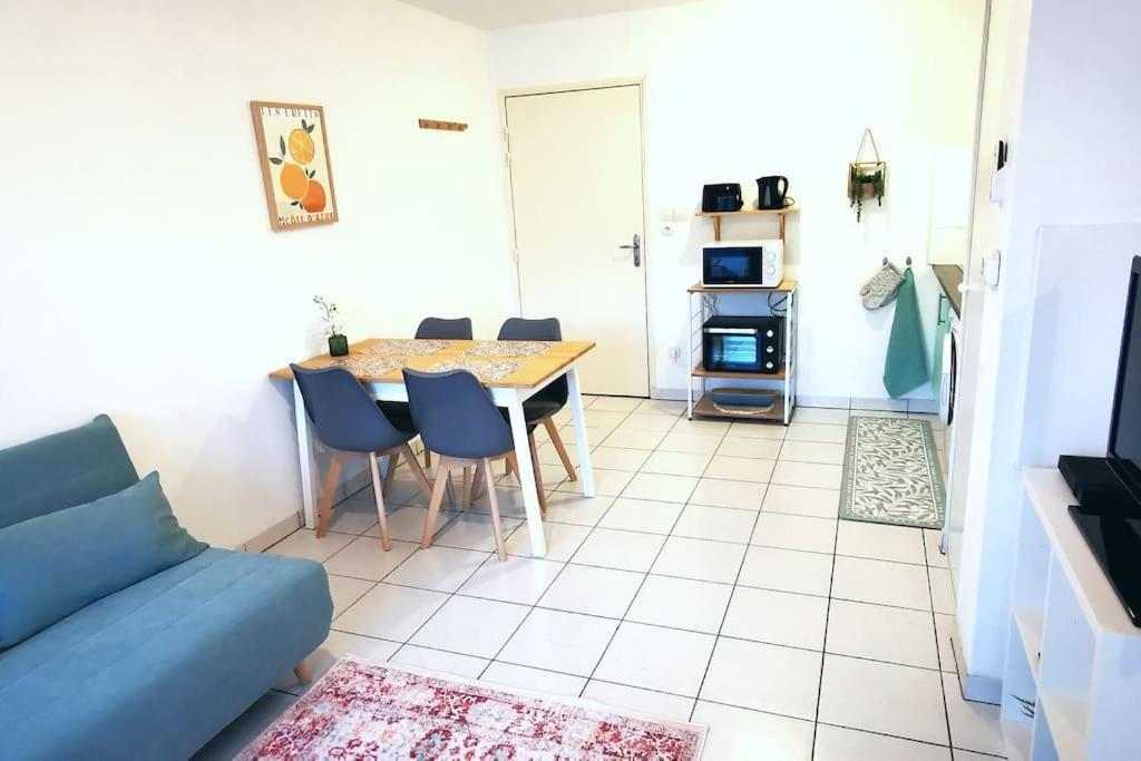 Grand Studio Lumineux Et Sa Terrasse Au Calme 圖盧茲 外观 照片
