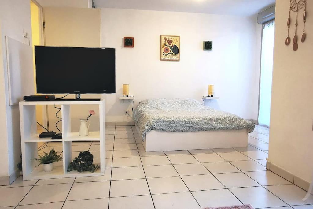Grand Studio Lumineux Et Sa Terrasse Au Calme 圖盧茲 外观 照片